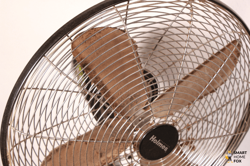 An den Rotorblättern eines Standventilators hängen Staubklumpen